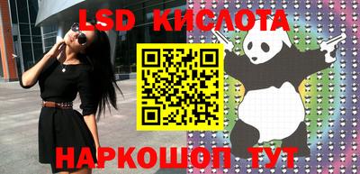 спиды Новодвинск