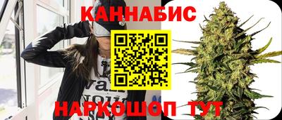 спиды Новодвинск