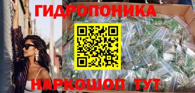 соль ск Новозыбков