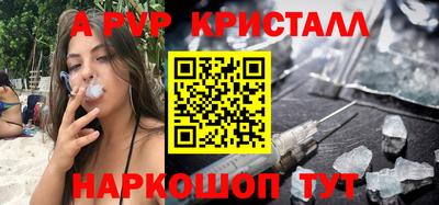 соль ск Новозыбков